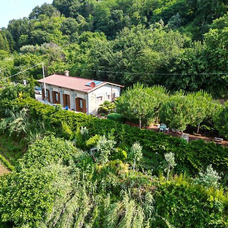 Agriturismo Le Fontane - Lago Di Bolsena Villa Grotte di Castro Exterior foto