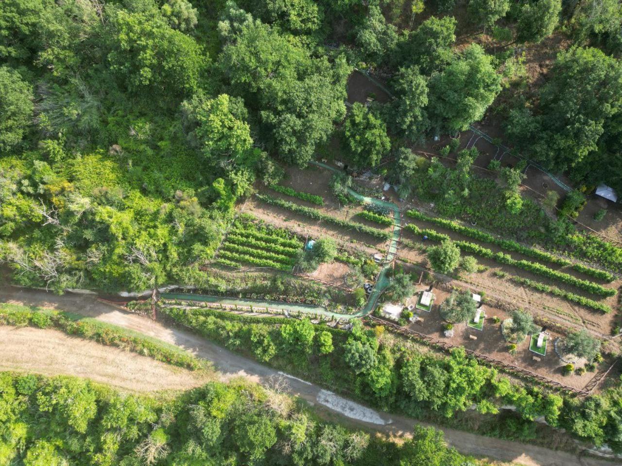 Agriturismo Le Fontane - Lago Di Bolsena Villa Grotte di Castro Exterior foto